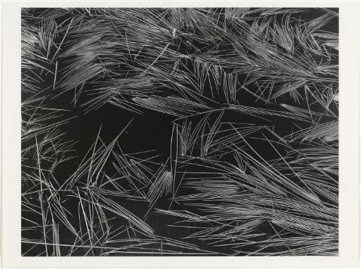Weeds, Justøya, 1980