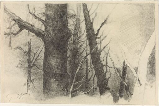 Study of a Tree