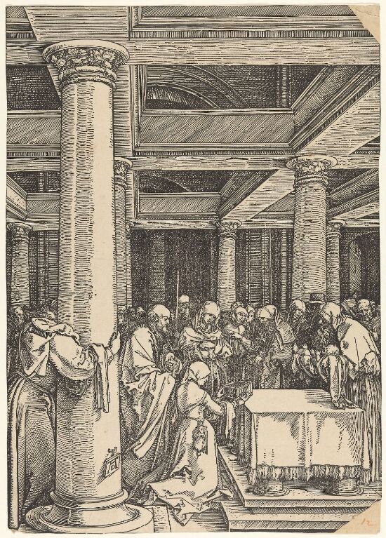 Fremvisningen i templet