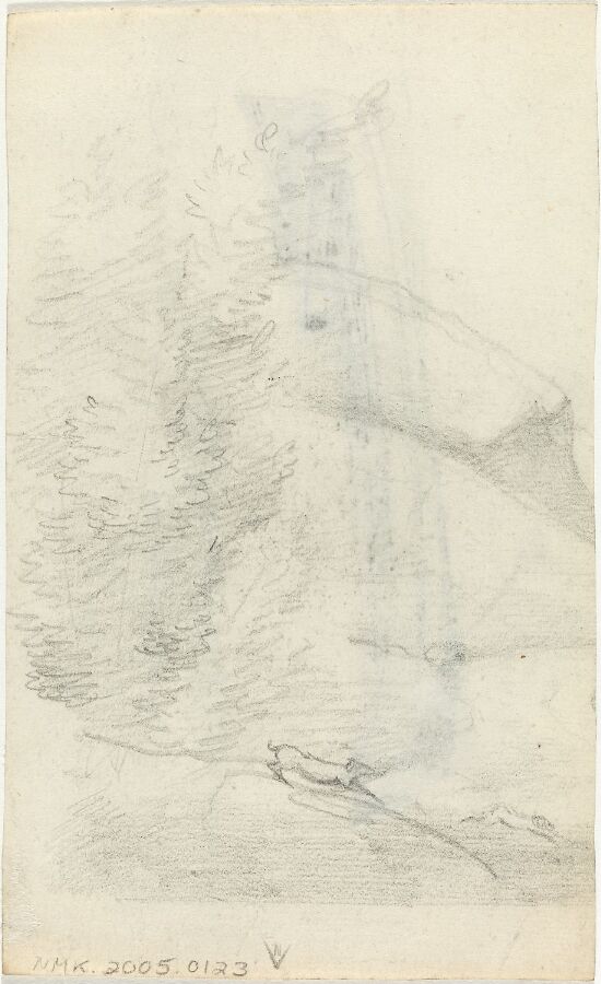 Fjellknaus med vegetasjon