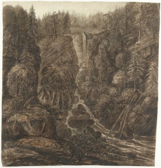 Skoglandskap med liten foss