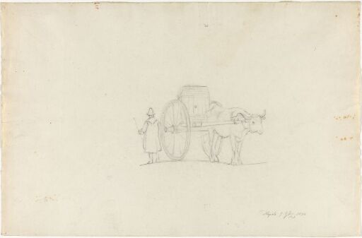 Ox Cart, Naples