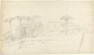 Landscape with Pine Trees and Cypresses