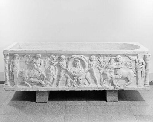 Sarcophagus with Centauromachy