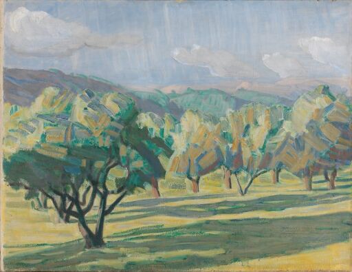 Olive Trees, Cagnes