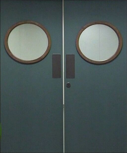 THE doors 1996