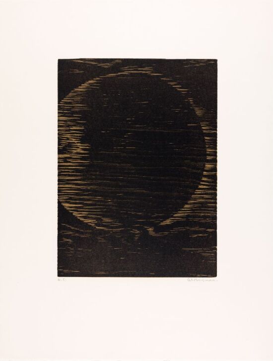 H 1979-1 Planetfragment