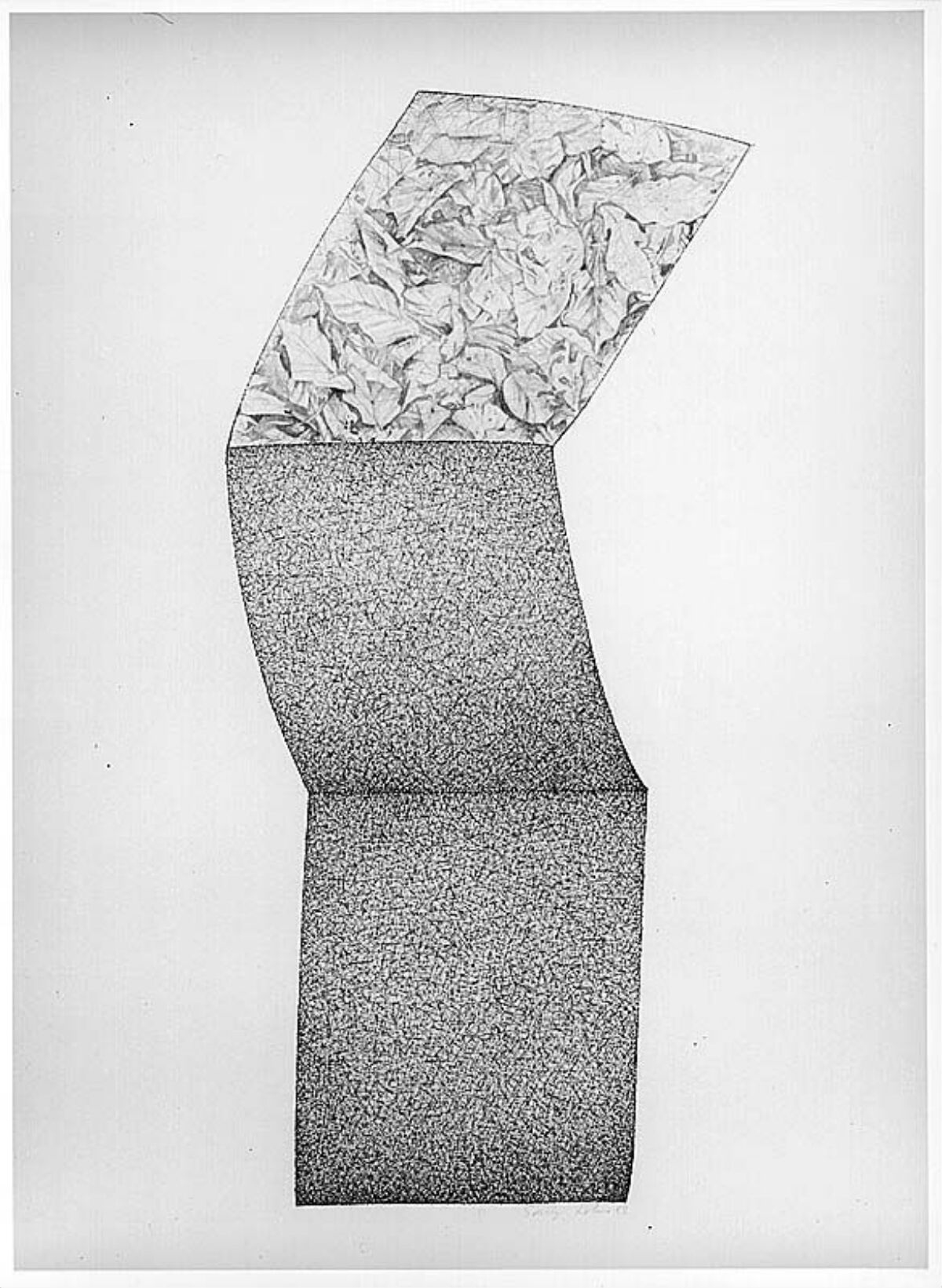 Solveig Lohne, Skogbunnform – Nasjonalmuseet – Collection