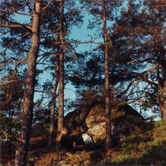 In a Norwegian Landscape 4