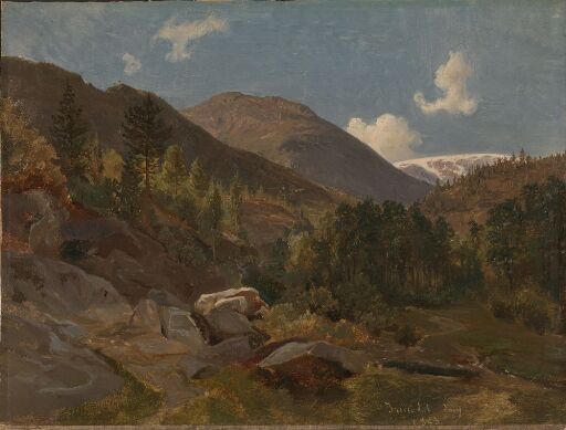 Norwegian Landscape