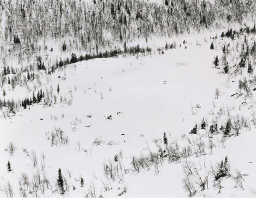 Utsikt nr. 5, Eggedal 1985