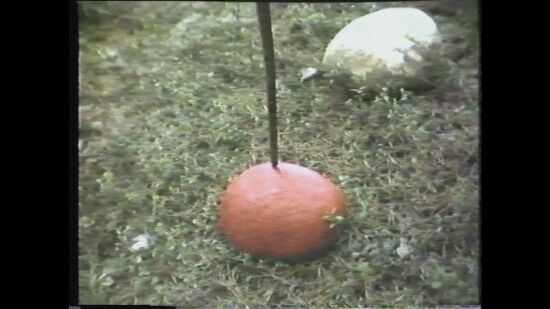 Video – Audio – Ago