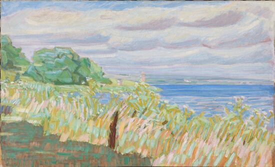 Blomstrende strandkant