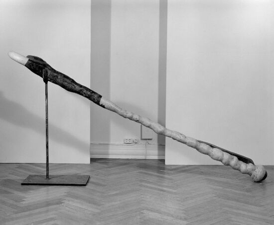 Instrument for the Anal Orifice