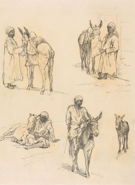 Studies of Men and Donkeys