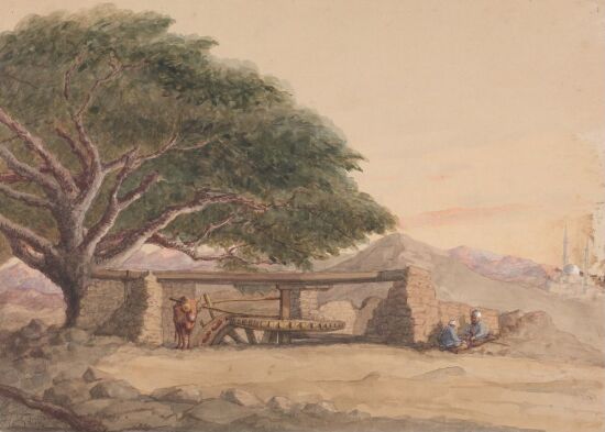 Working Scene, Egypt