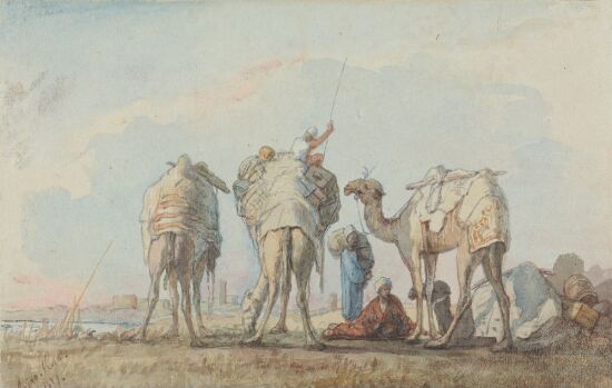 Four camels, Cairo