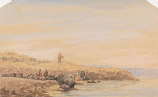 Herd of Cattle bythe Water