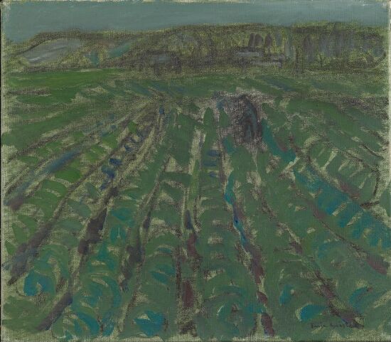 Bonden i kålåkeren