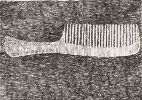 Images from the Inside. What Is Me That is Not Me? My Comb