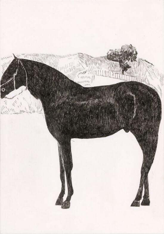 Images from the Inside. What do I miss?