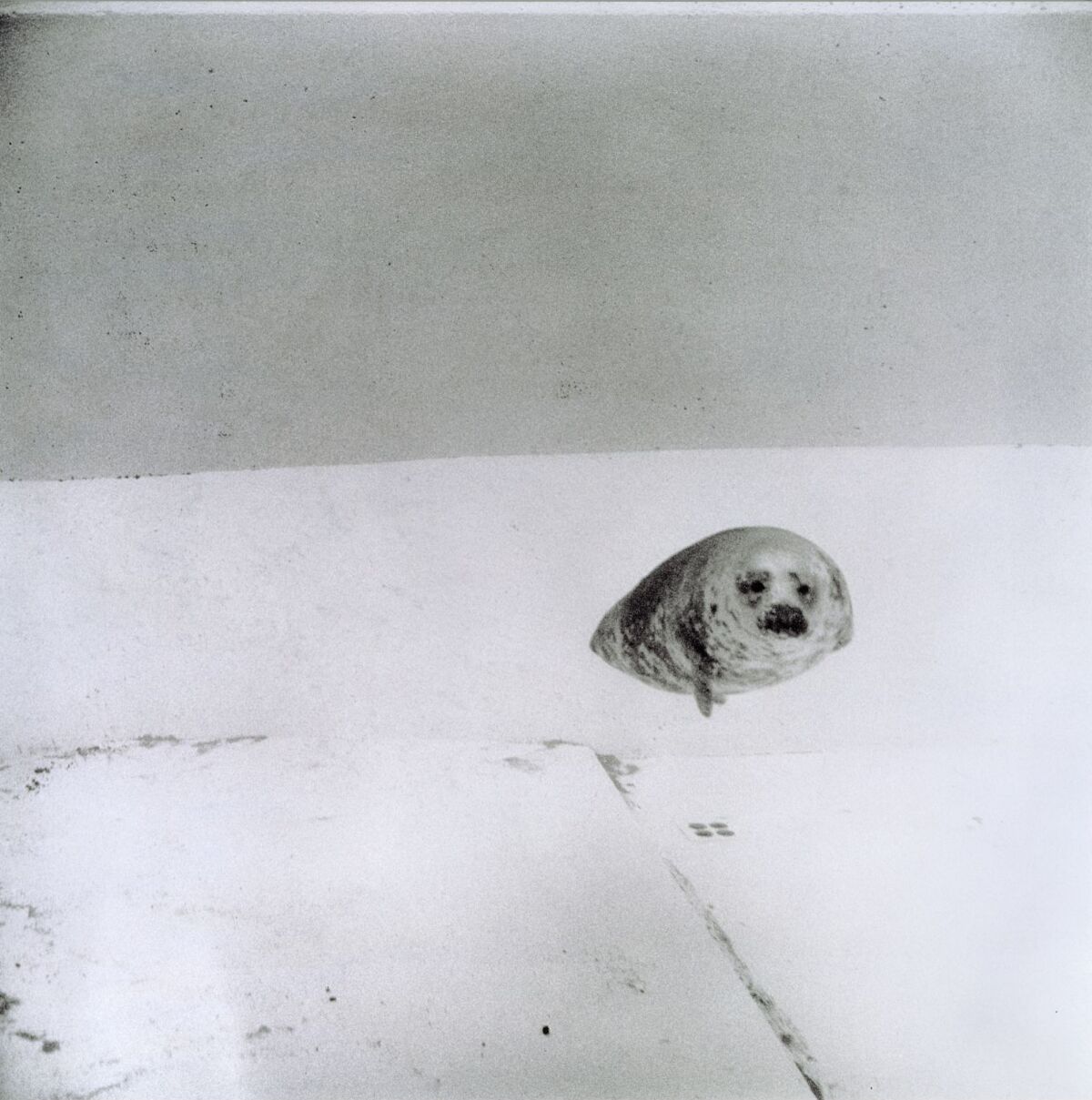 Per Maning, Untitled – Nasjonalmuseet – Collection