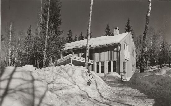 Enebolig for Arne Skouen