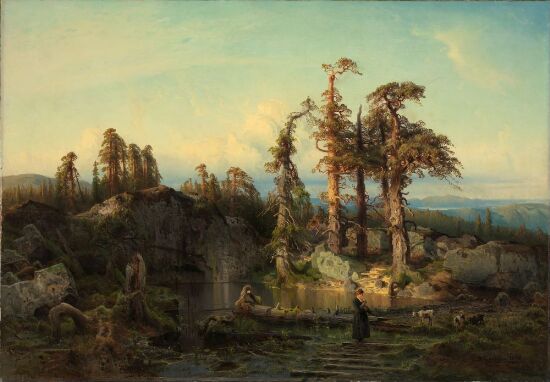 Skogtjern i nedre Telemark