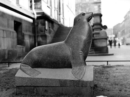 Sea lion