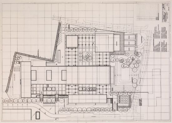 Terrengarbeidene ved Biologibygget
