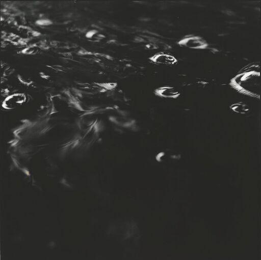 Woodland and Water 9