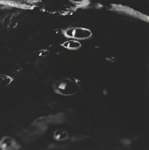 Woodland and Water 9