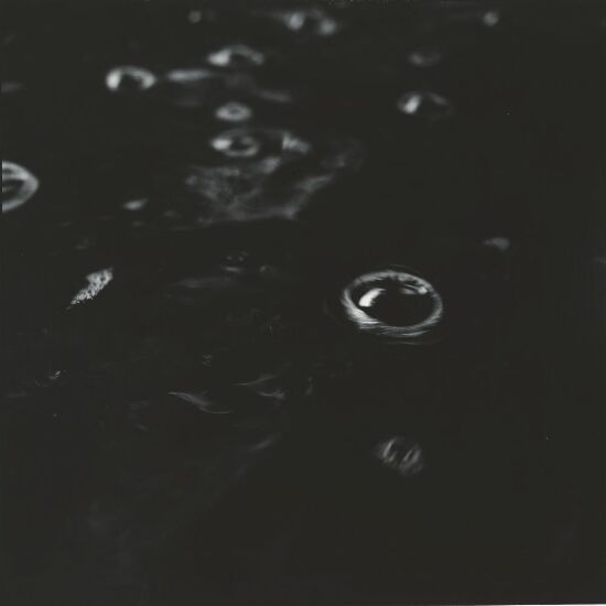 Woodland and Water 9