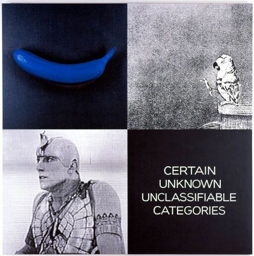 Tetrad Series: CERTAIN UNKNOWN UNCLASSIFIABLE CATEGORIES