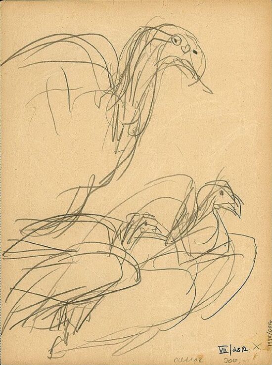 Tre studier av fugler