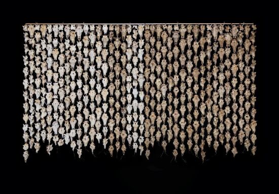 Pile o´Sápmi Supreme