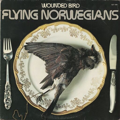 Wounded bird-Flying Norwegians