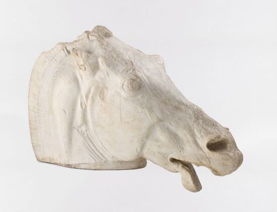 Hodet til en av Selenes hester