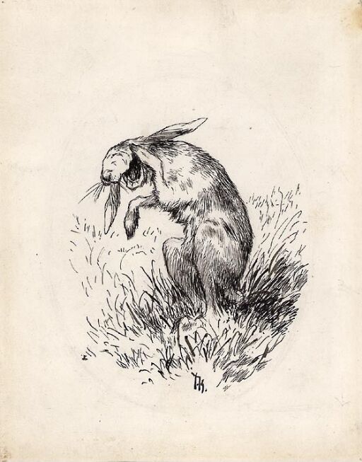 The Hare laughing