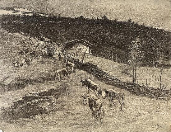 Mountain Pasture with Cows