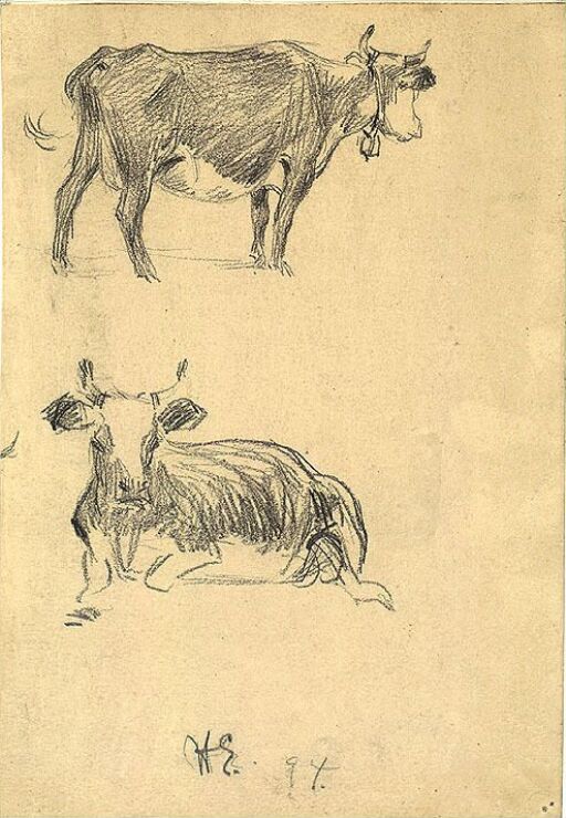 Two Cows