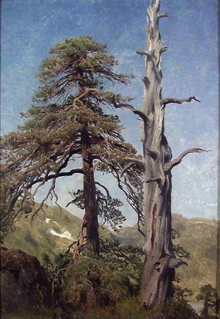 Et bilde som inneholder maling, plante, tegning, tre

Automatisk generert beskrivelse