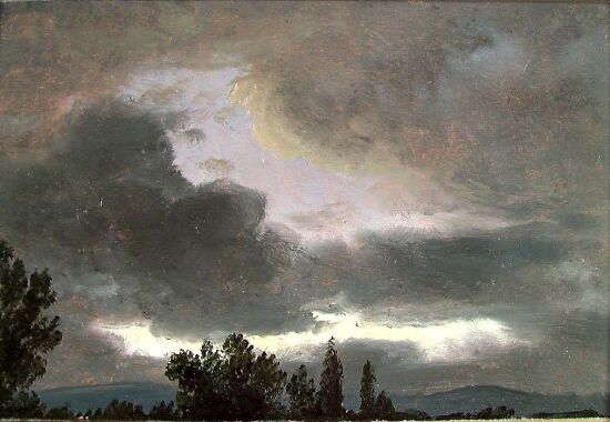 Dyster skyhimmel over svarte tretopper