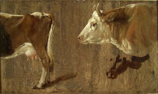 Study of Cows