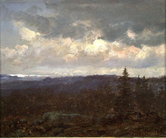 Skoglandskap fra Sachsen