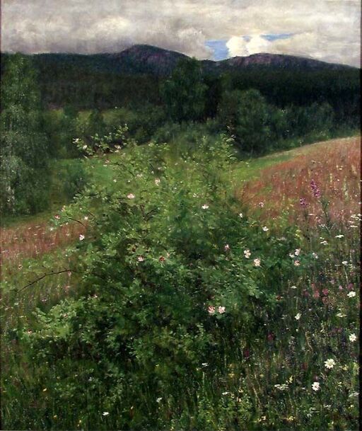 Midsummer