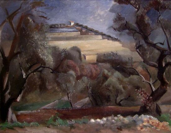 Vinberg ved St. Paul, Provence