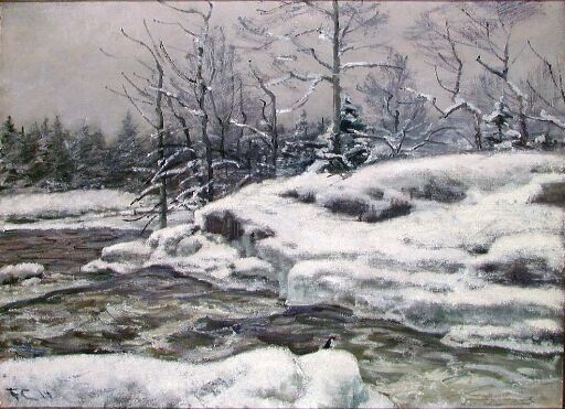 Vinter, Mesna