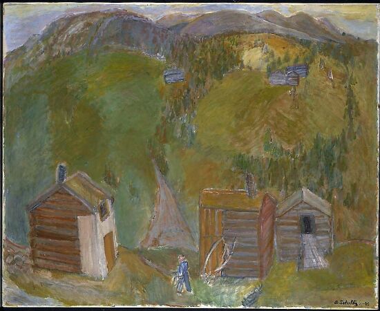 Hillside facing north in Skåbu