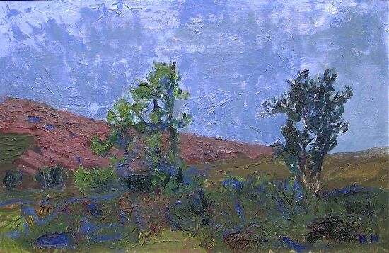 Birch Trees in the Higlands at Røros